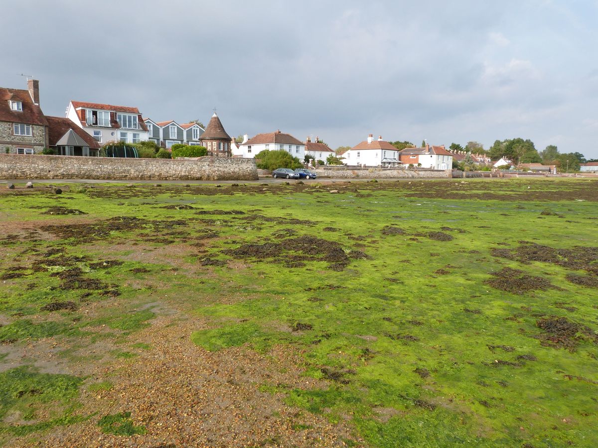Bosham from the shore at low water