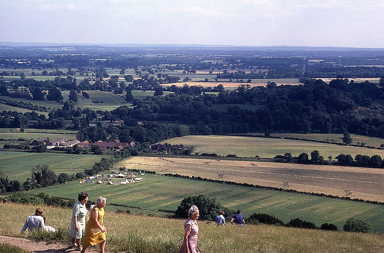 The view from Box Hill