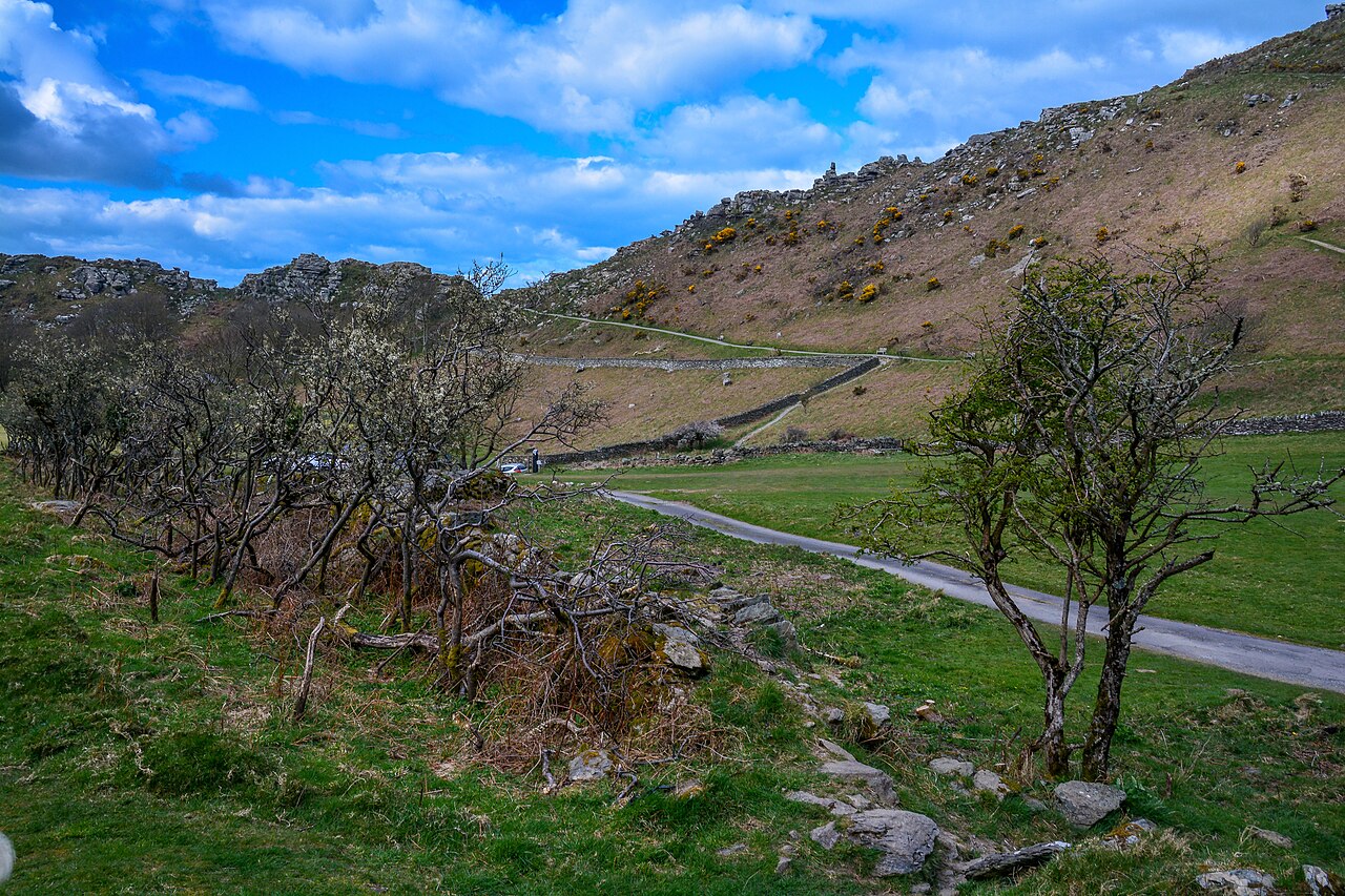 The Valley of Rocks near Lynton