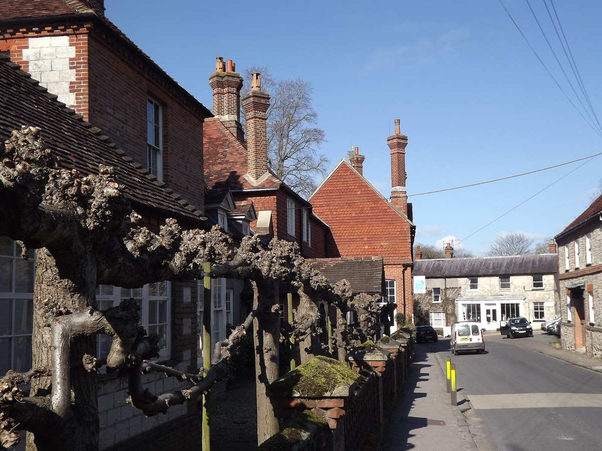 Selborne village