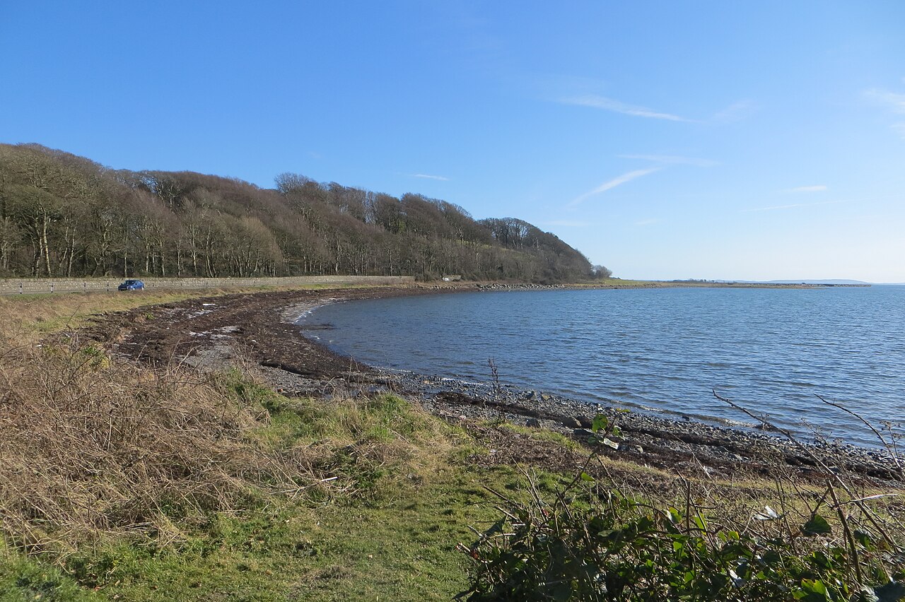 Strangford Lough