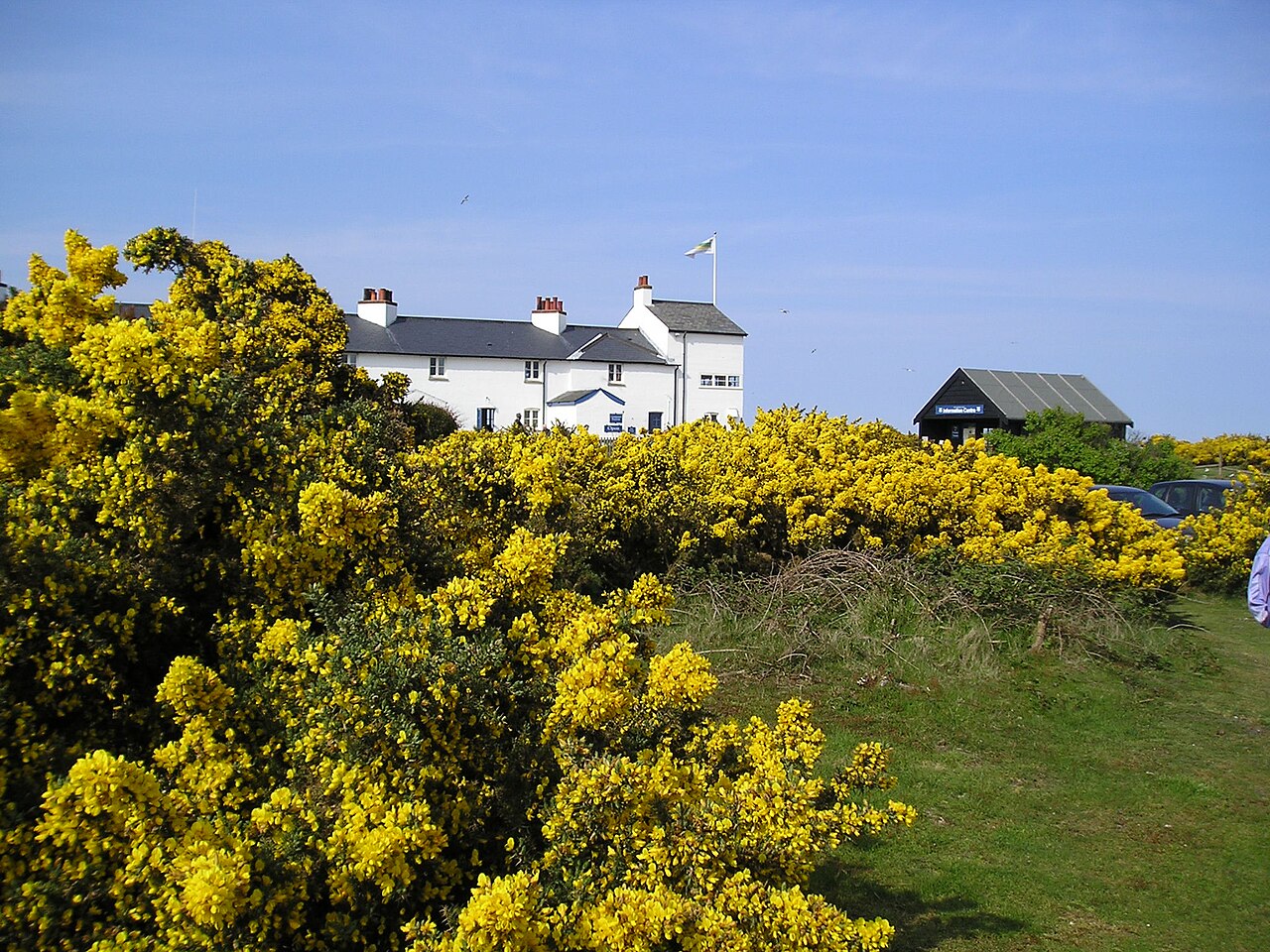 The Coastguard Cottages on Dunwich Heath